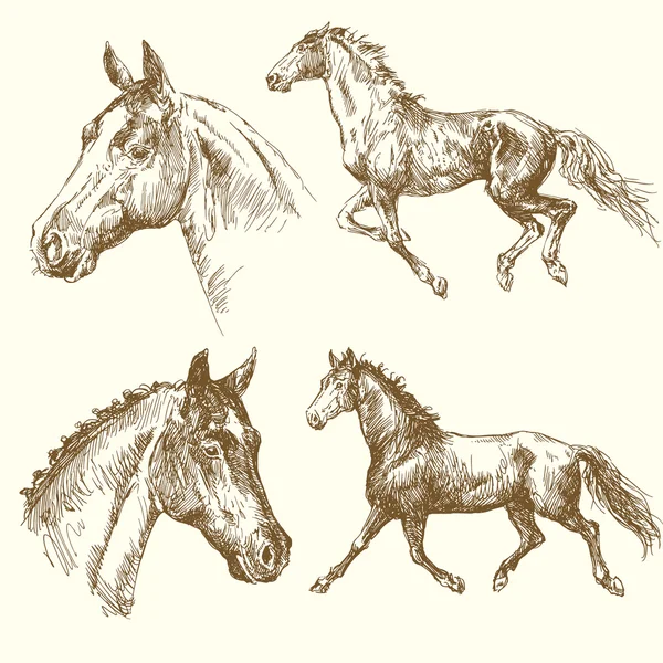 Ręcznie rysowane koni — Wektor stockowy