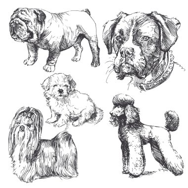 Dogs - elle çizilmiş koleksiyonu