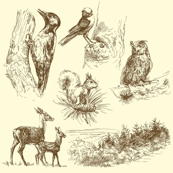 森林動物 — ストックベクタ