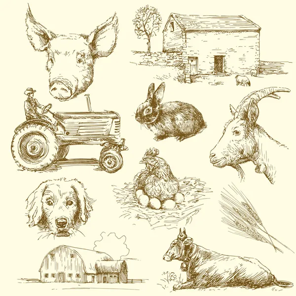 çiftlik hayvanları