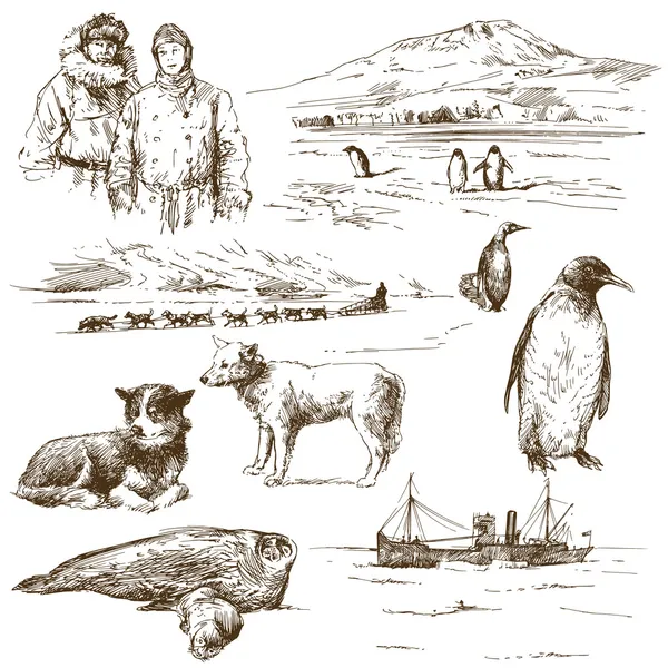 極地探検家 — ストックベクタ