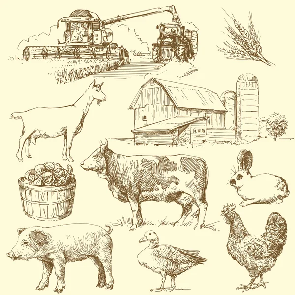 Dibujos animales granja imágenes de stock de arte vectorial | Depositphotos