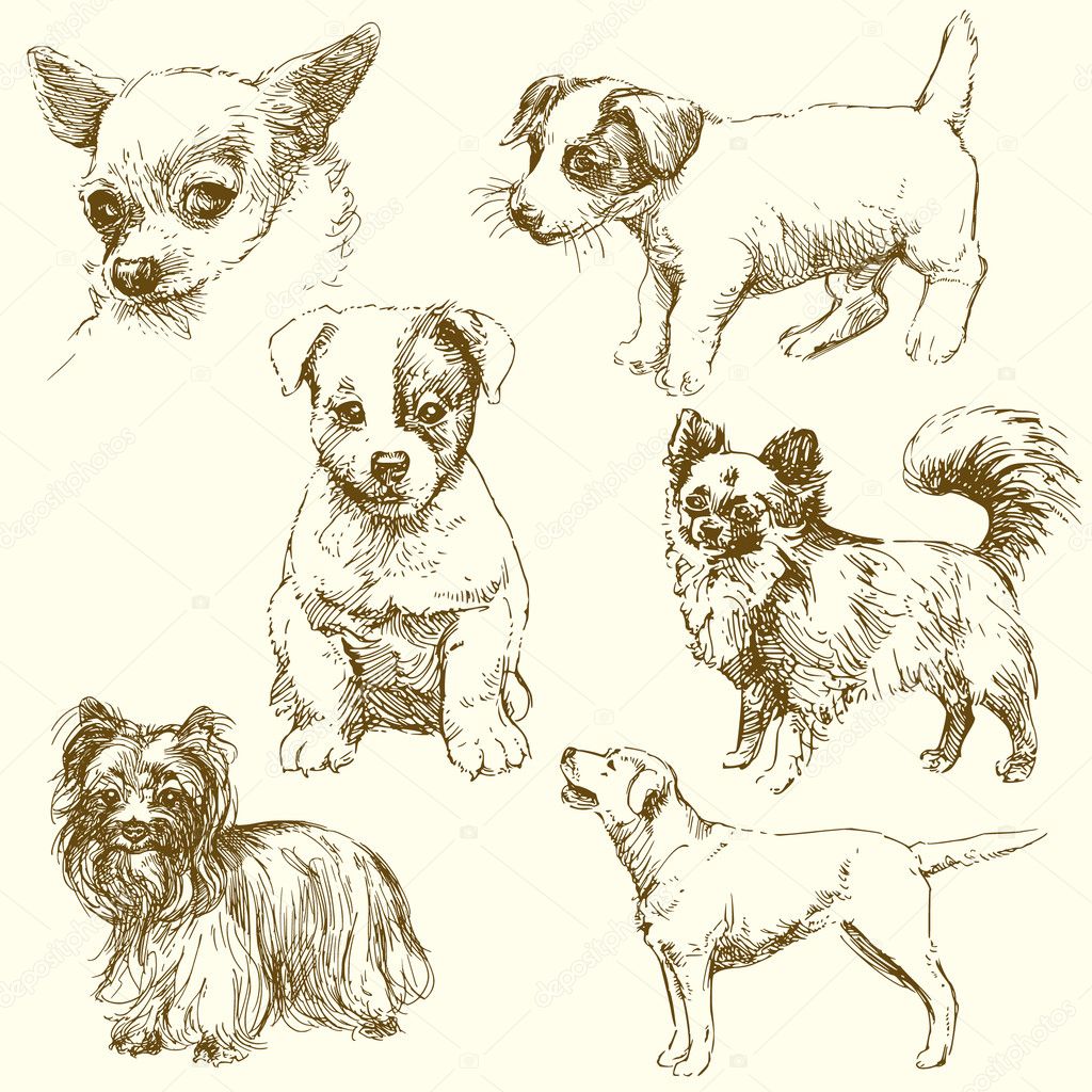 Set of dogs