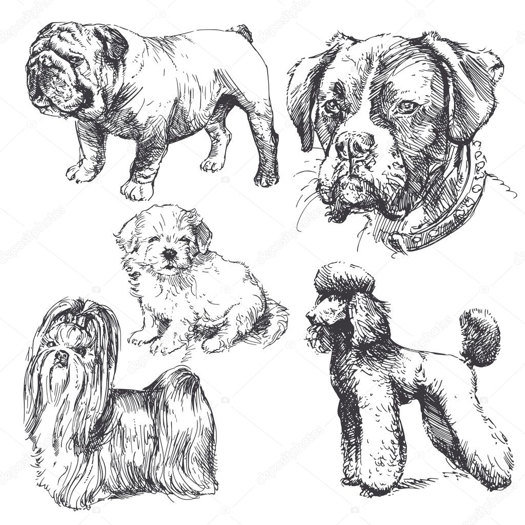 Dogs - hand drawn collection