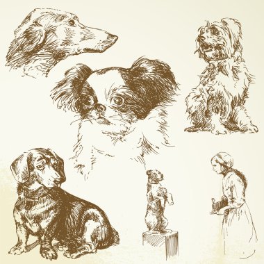 el çekilmiş köpekler