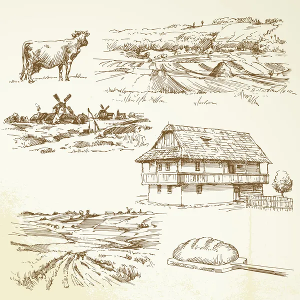 Agricultura, paisaje rural — Vector de stock