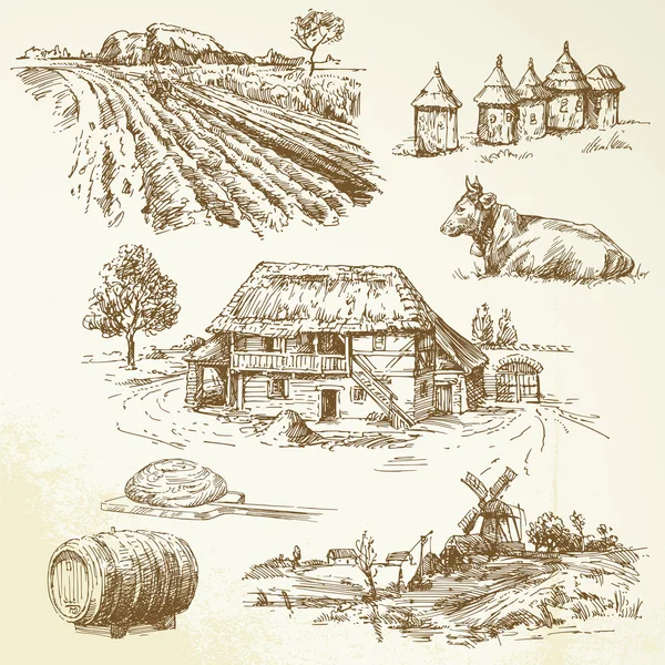 Paisaje rural, agricultura, agricultura — Archivo Imágenes Vectoriales