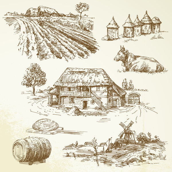 Rural landscape, agriculture, farming