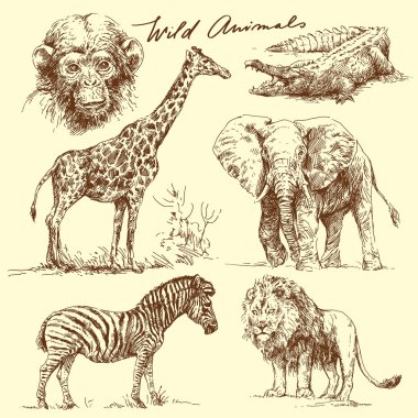 Download Cute Wild Animals Free Vector Eps Cdr Ai Svg Vector Illustration Graphic Art