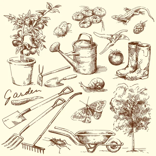 Featured image of post Kitchen Garden Images Drawing : Specify exactly what kind of layout you want and customize it in exactly the way in which you plan on building it.