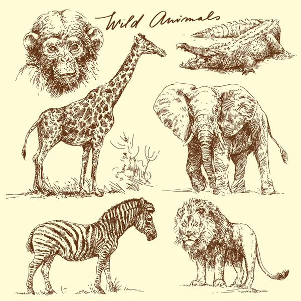 Wild animals Stock Illustration