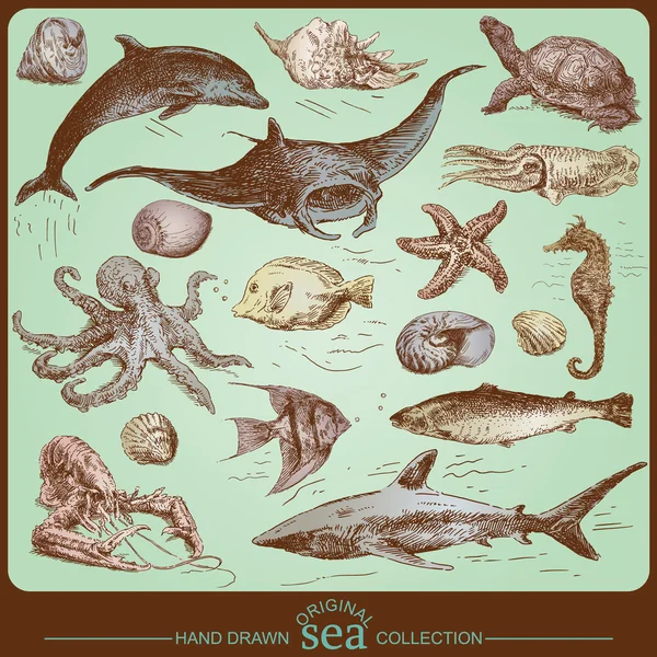 Sea collection - original handgezeichnetes Set — Stockvektor