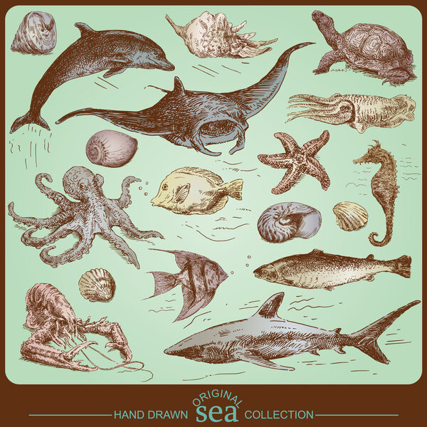 Sea collection - original hand drawn set