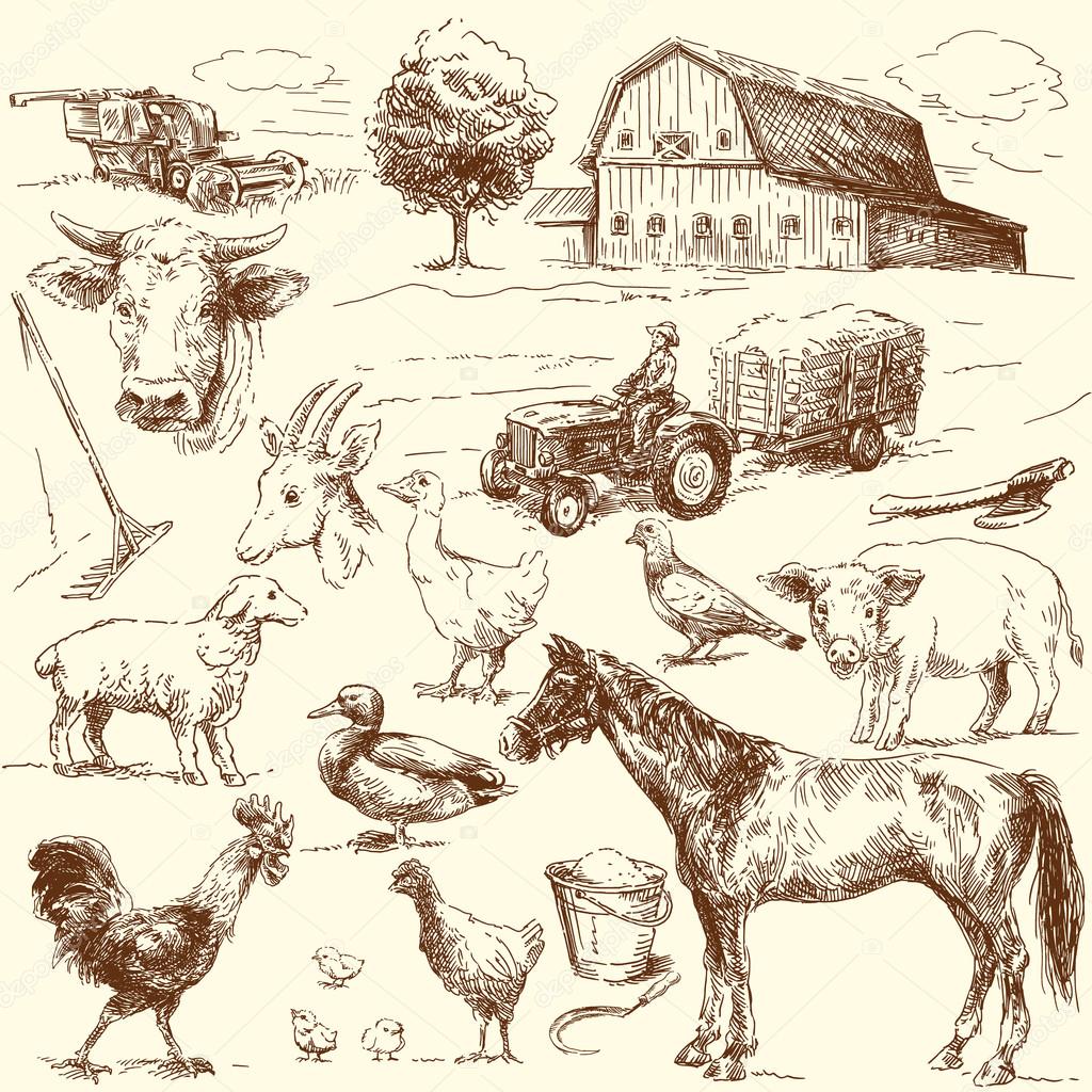 Original hand drawn farm collection
