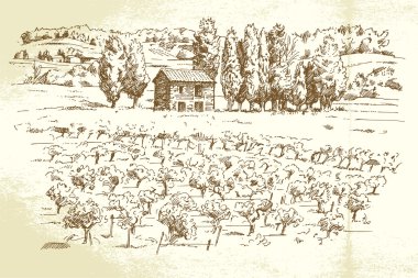 peyzaj, bağ - elle çizilmiş şekil