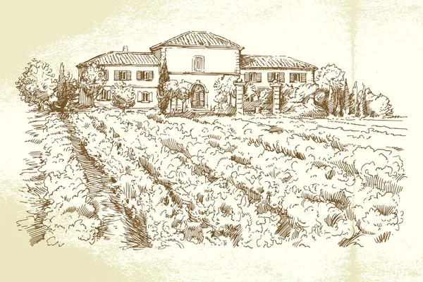 Vignoble France - illustration dessinée à la main — Image vectorielle