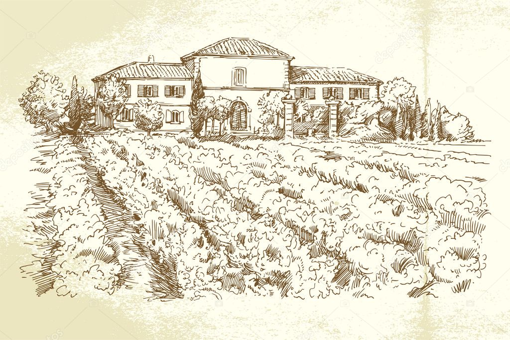 Vineyard France - hand drawn illustration