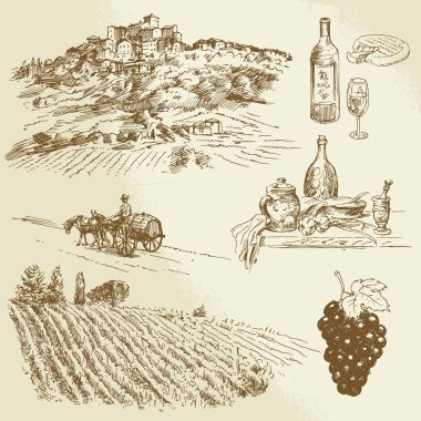 italian landscape, vineyard - hand drawn illustration