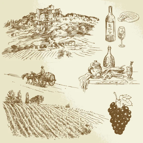 Italienische Landschaft, Weinberg - handgezeichnete Illustration — Stockvektor