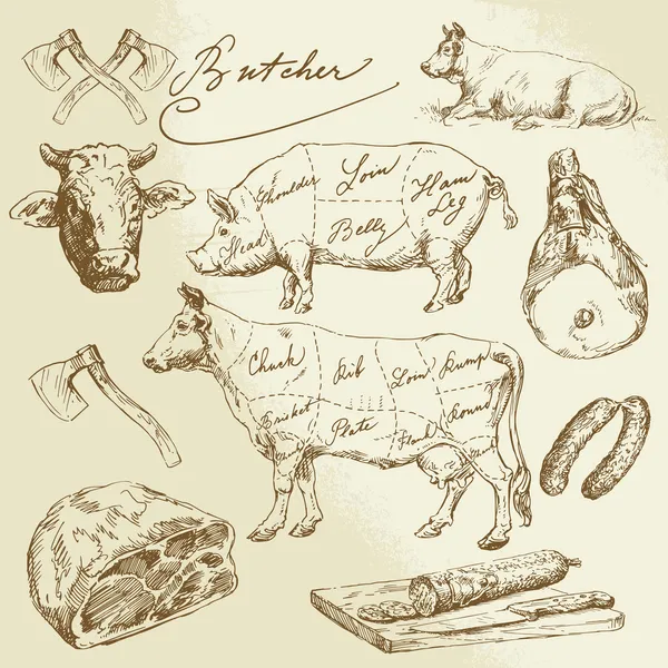 Cortes de cerdo y carne de vacuno - colección elaborada a mano — Vector de stock