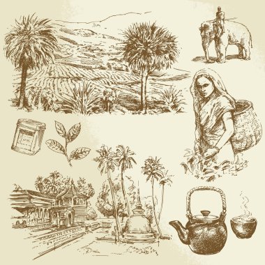 tea plantations - hand drawn set clipart