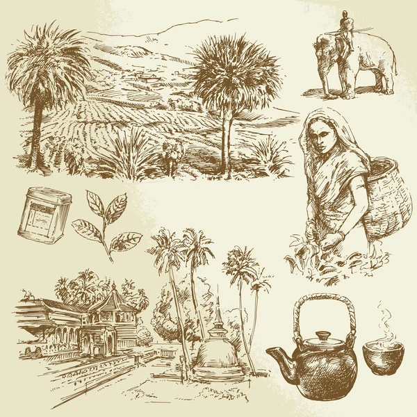 Tea plantations - hand drawn set — Stock Illustration Tea plantations - hand drawn set Stock Illustration