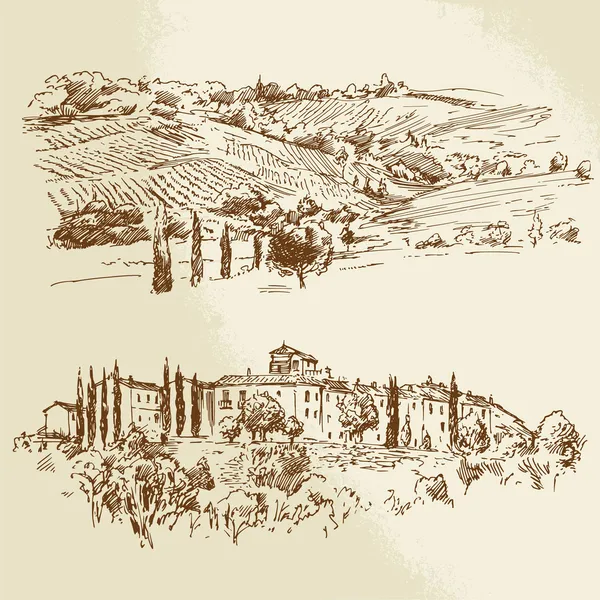 Viñedo, paisaje romántico — Archivo Imágenes Vectoriales