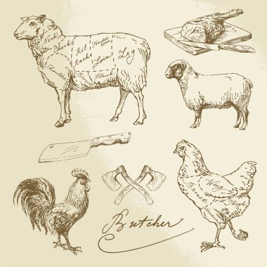 cut of meat - lamb, chicken clipart
