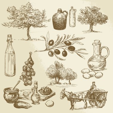 zeytin hasat ve ürün - elle çizilmiş koleksiyonu