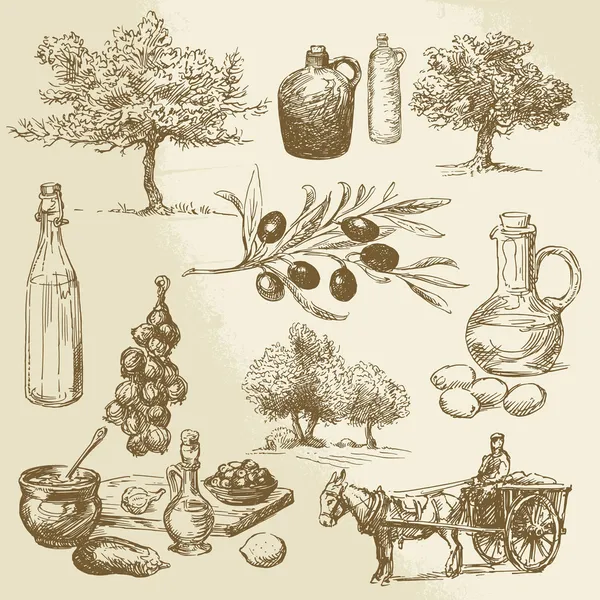 Récolte et produits oléicoles - collection dessinée à la main — Image vectorielle