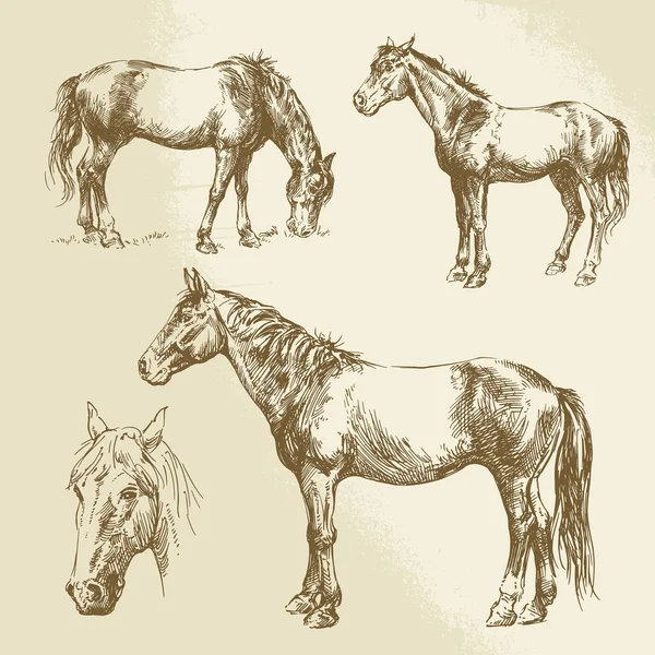 Cavalos desenhados à mão — Vetor de Stock