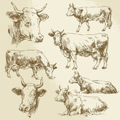 ručně kreslenou krávy
