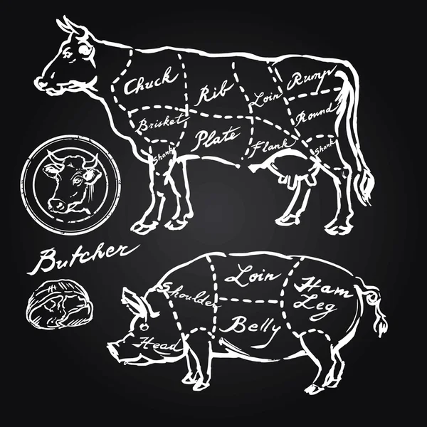 Découpes de porc et de bœuf - ensemble dessiné à la main — Image vectorielle