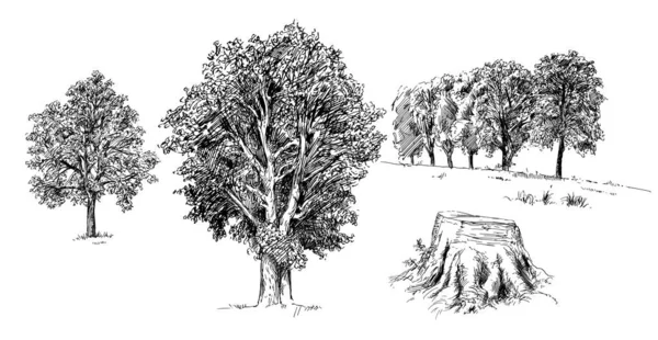 手工绘制的树上白色隔离 — 图库矢量图片