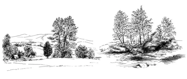 Paysage Rural Forêt Prairie Set Dessiné Main — Image vectorielle