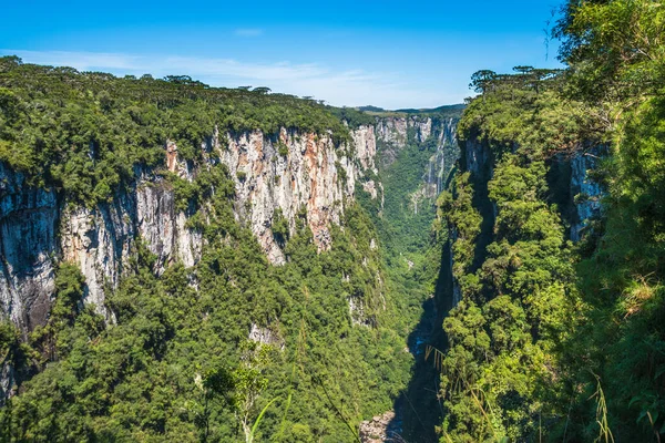 Itaimbezinho Kanyonu 'nun güzel manzarası - Cambara do Sul, Rio grande do Sul, Brezilya