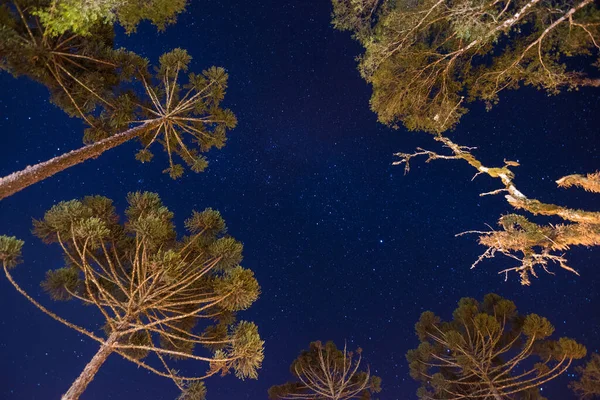 Вид Красивое Звездное Небо Канела Канела Риу Гранди Сул Бразилия — стоковое фото