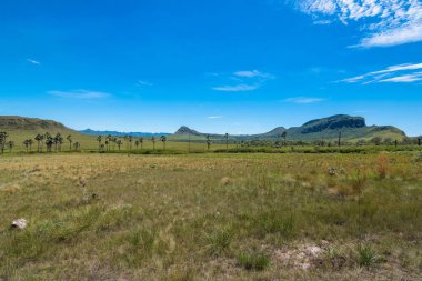 Güzel Jardim de Maytrea (Maytrea Garden) ve Morro da Baleia (Balina Dağı) manzarası Chapada dos Veadeiros (Geyik Masası) - Goias, Brezilya