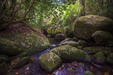 Ilha Grande, Angra dos Reis, Brezilya 'daki güzel su birikintilerinin manzarası.