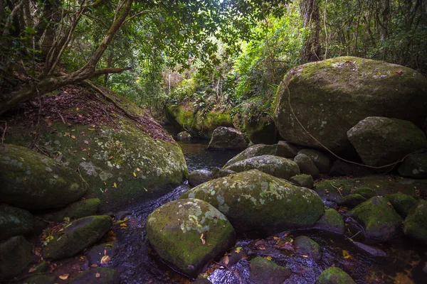 Ilha Grande, Angra dos Reis, Brezilya 'daki güzel su birikintilerinin manzarası.