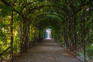 Viyana, Avusturya, Ekim 2018 - Schonbrunn Bahçeleri 'nin güzel manzarası 