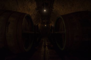 Plzen, Czech Republic, June 2019 - view of some beer wooden barrels at Plsner Urquell brewery 