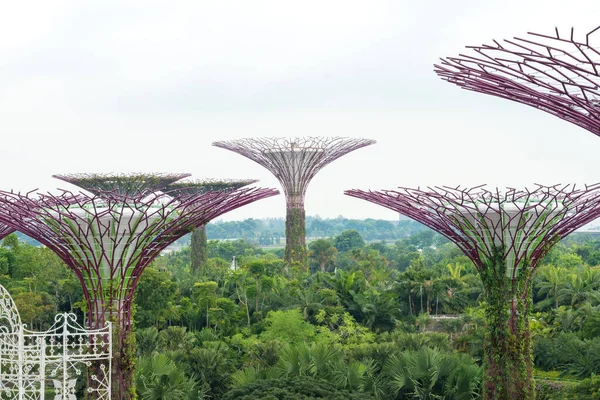 SINGAPORE - NOVEMBER 9, 2017: view of some the Gardens by the Bay Supertrees 
