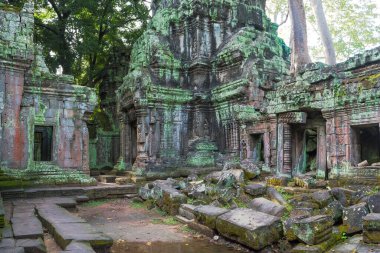 Ta Prohm, Siem Reap, Cambodia - one of the many famous spots in this temple, also know for it's gigantic tree roots