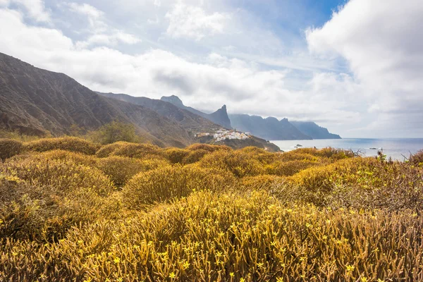 Vista Las Hermosas Montañas Anaga Algunos Arbustos Amarillos Desde Mirador — Foto de Stock