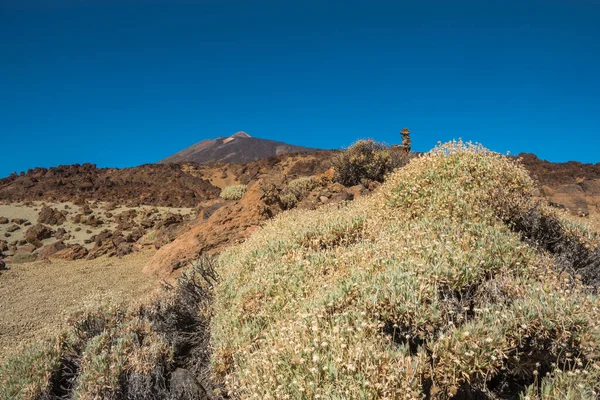 Beautiful Scenery Teide National Park Santa Cruz Tenerife Canary Islands — Stockfoto