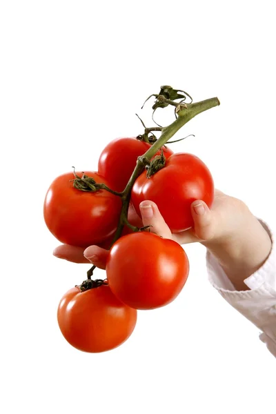 Mulher segurando tomates — Fotografia de Stock