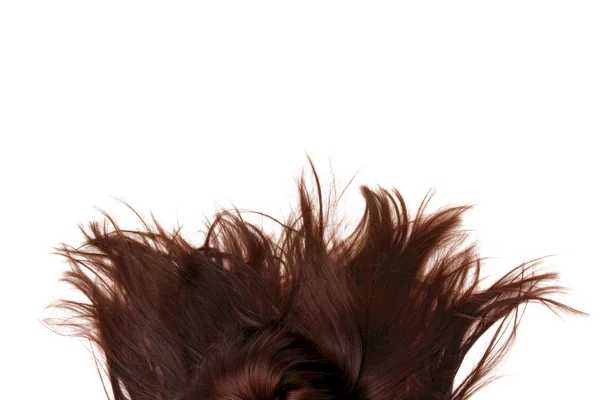 Portrait of a young woman with hair lightly fluttering in the wind on a white background — Stock Photo, Image