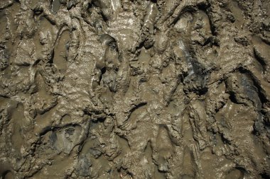 Therapeutic mud seamless background. clipart