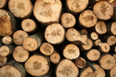 yığılmış günlükleri